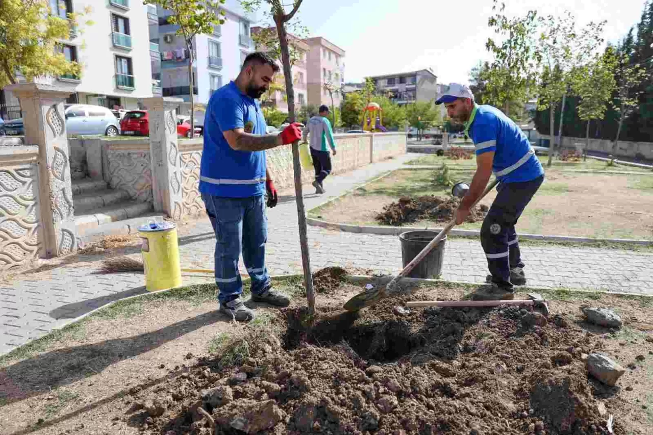 Buca’da Yeşil Seferberlik