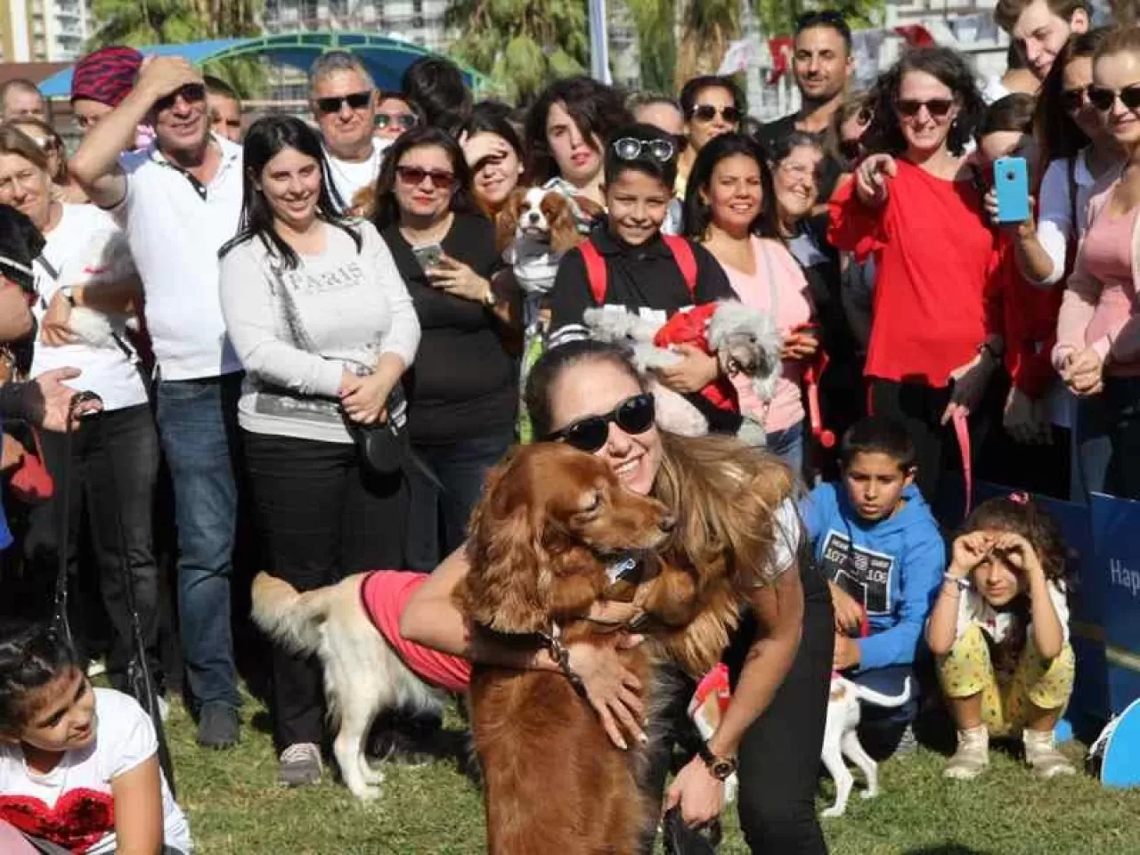 Can Dostlar ‘Patifest’te Yeni Yuvalara Kavuşacak