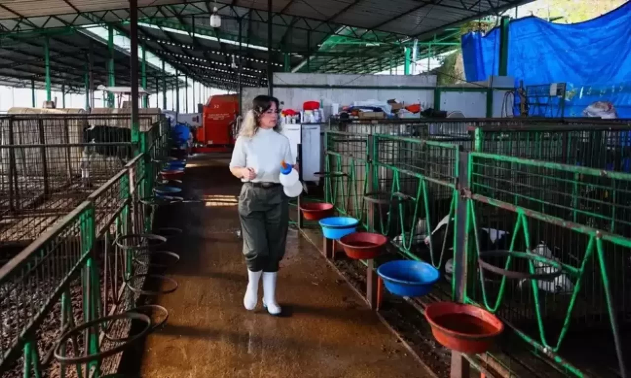 Pandemi Döneminde Kırsala Yerleşti, Doğal Gıda Üreticisi Oldu