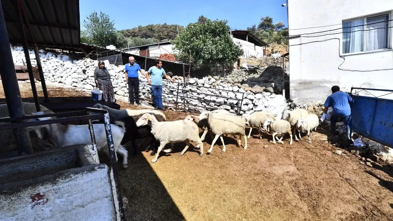 İzmir Büyükşehir'den Yangın Mağduru Köylere Hızlı Destek!