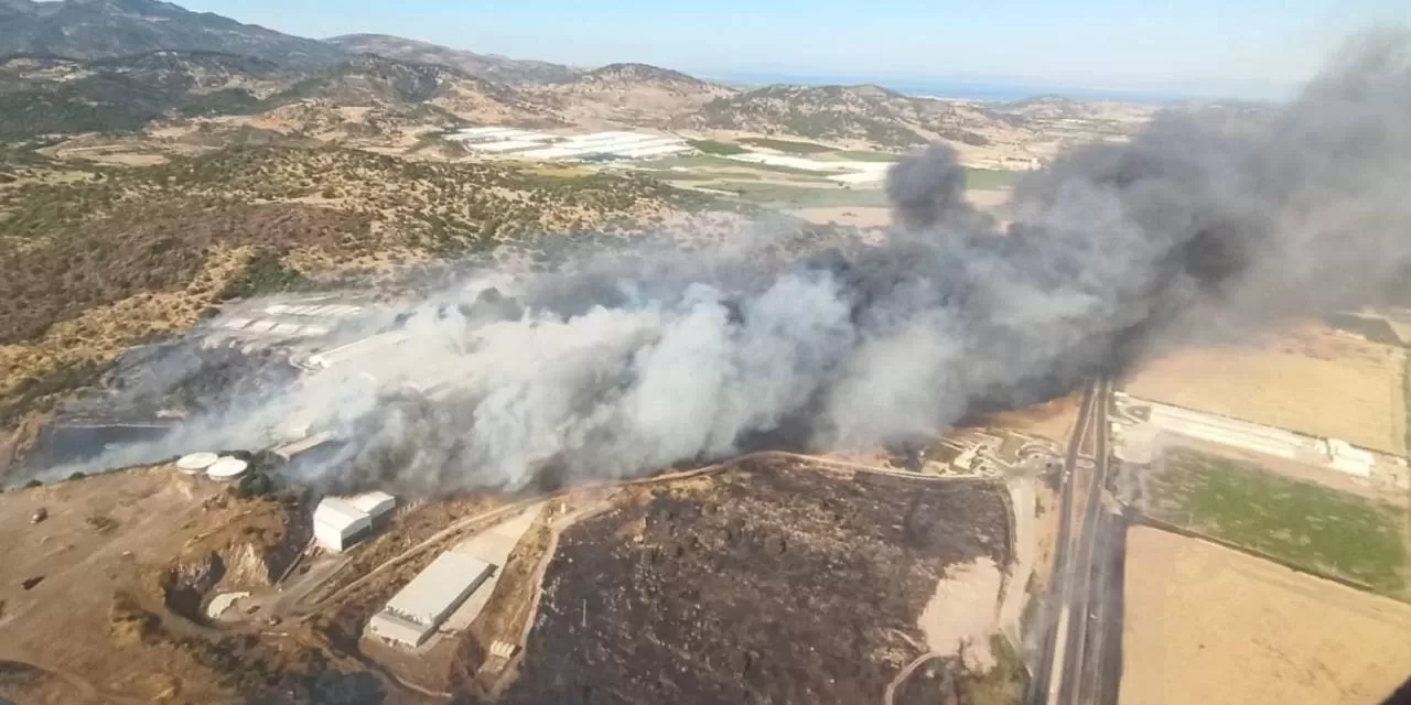 İzmir Bergama’da Çıkan Orman Yangını Ekiplerin Müdahalesiyle Kontrol Altında