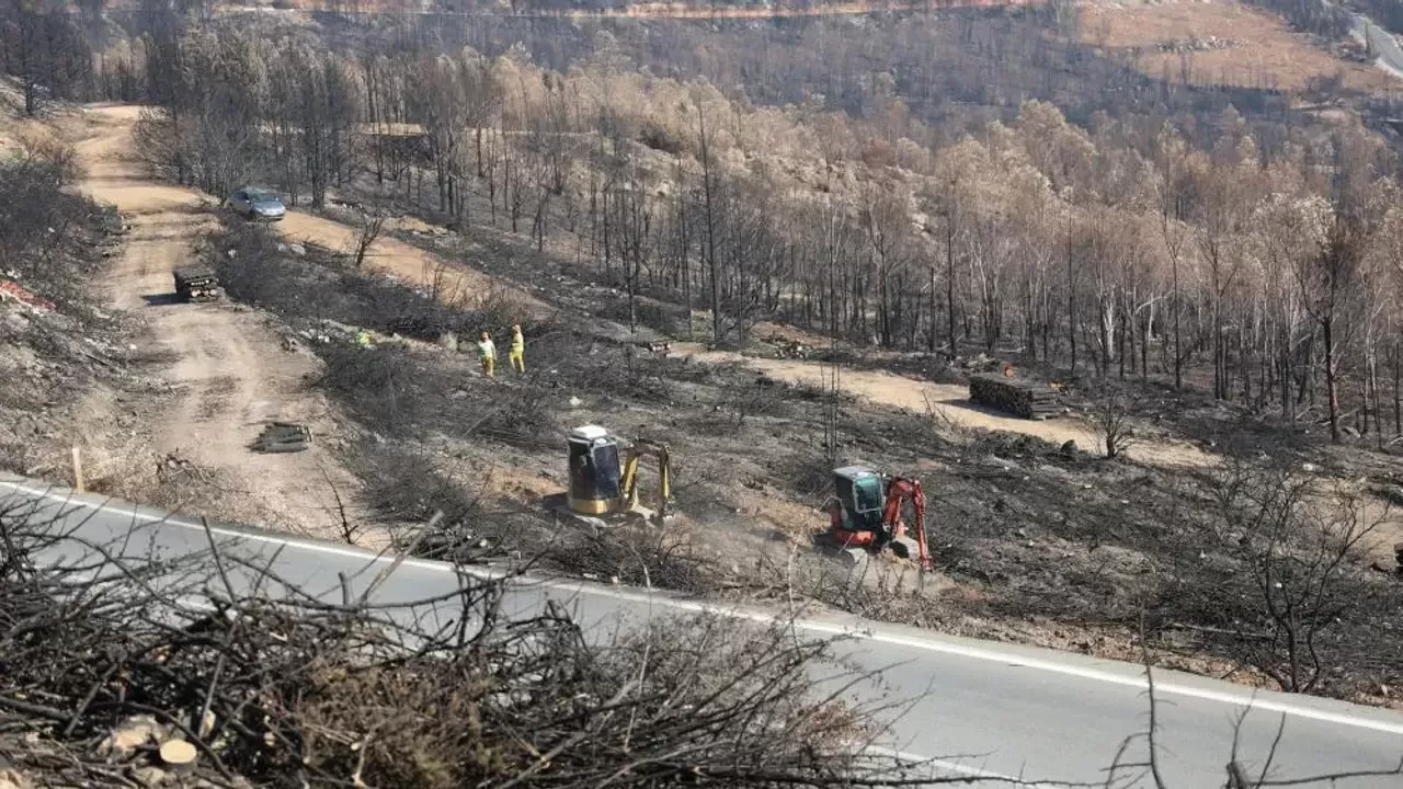 Vali açıkladı: İzmir'de yanan alanlar imara açılacak mı?