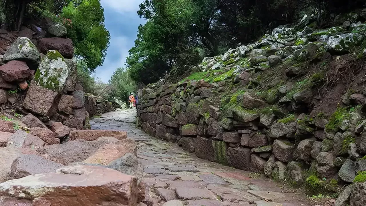 İzmir'in Aliağa ilçesinde toplam kaç adet köy bulunmaktadır?