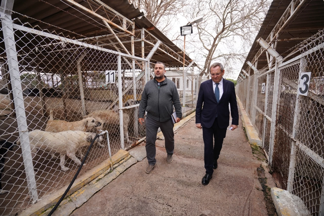 Ayvalık Belediyesi 2024'te 8440 Can Dosta Dokundu!