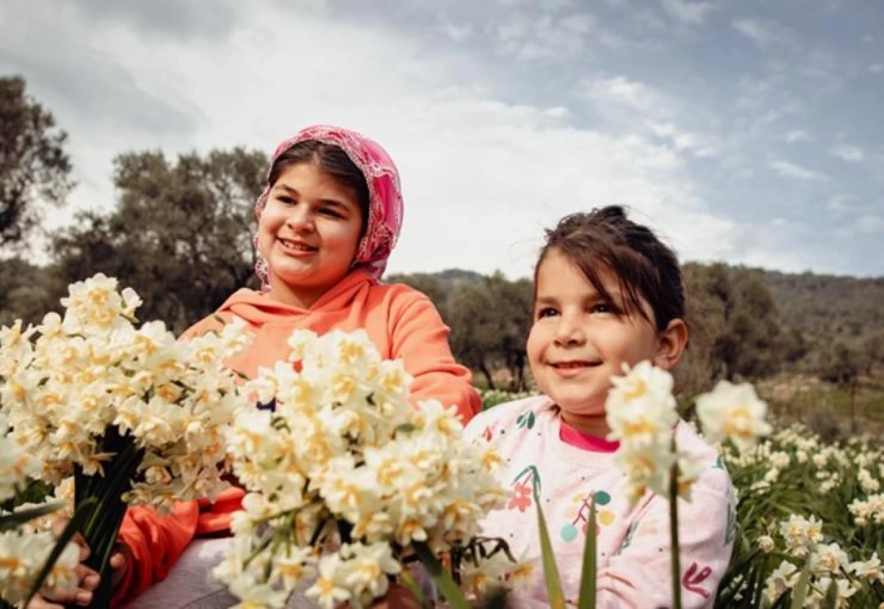 Bayındır'da Nergis ve Kuru Çiçek Festivali Heyecanı!