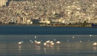 İzmir Körfezi’ndeki Temizlik Çalışmaları, Doğayı Yeniden Canlandırıyor