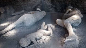 Pompeii Tarihine Dair DNA Analizi Ortaya Çıkarıldı