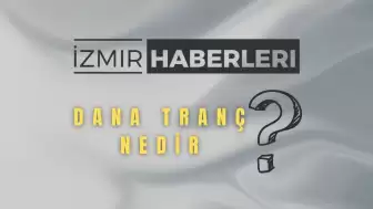 Dana Tranç Et Nedir? Özellikleri, Yağ Oranı ve Kullanım Alanları