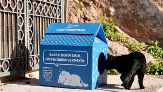 Çeşme Belediyesi Sokak Kedileri İçin Kolay Kurulumlu Kedi Evleri Dağıtıyor