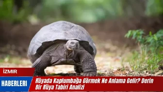 Rüyada Kaplumbağa Görmek Ne Anlama Gelir? Derin Bir Rüya Tabiri Analizi