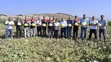 Foça'da 5. Geleneksel Kavun Hasat Şenliği Coşkuyla Kutlandı