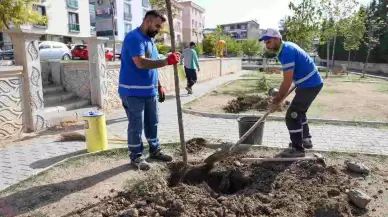 Buca’da Yeşil Seferberlik