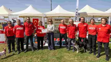 Patilerin Festivali Can Dostlara Yuva Oldu