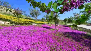 İzmir’in parklarında akıllı sulama dönemi