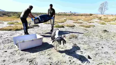 İzmir Doğal Yaşam Parkı yaban hayatın sakinlerine şifa dağıtıyor