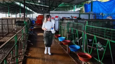 Pandemi Döneminde Kırsala Yerleşti, Doğal Gıda Üreticisi Oldu