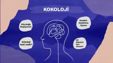 Kokoloji Kişilik Testi Nedir? Sorular, Bilimselliği ve Amaçları