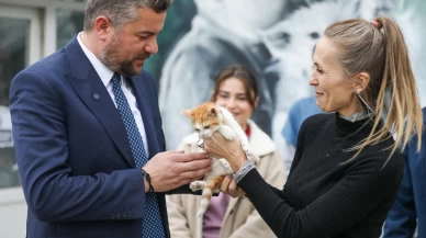 Buca'nın Mucize Kedisi Hayata Tutundu