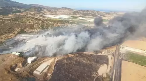 İzmir Bergama’da Çıkan Orman Yangını Ekiplerin Müdahalesiyle Kontrol Altında