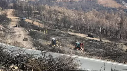 Vali açıkladı: İzmir'de yanan ormanların akıbeti belli oldu