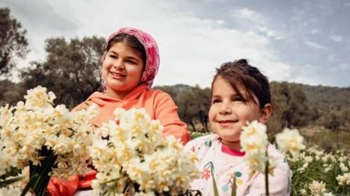 Bayındır'da Nergis ve Kuru Çiçek Festivali Heyecanı!