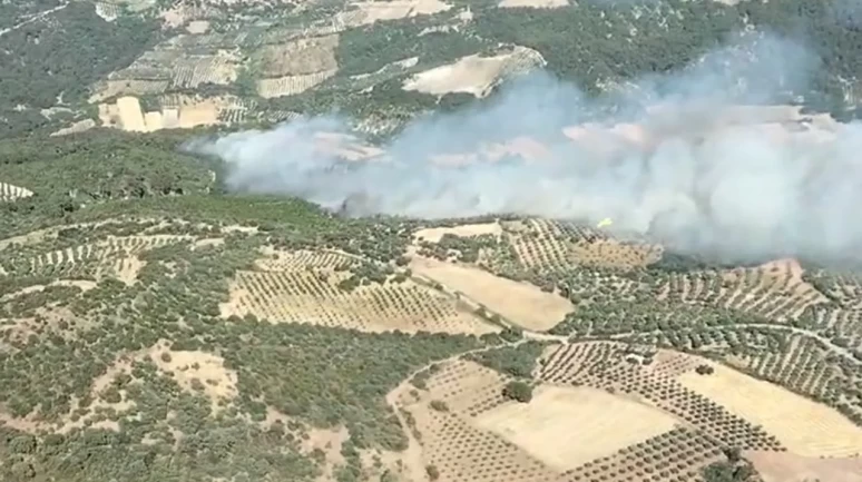 Bergama'da başlayan orman yangınına 4 uçak ve 4 helikopter havadan müdahale ediyor