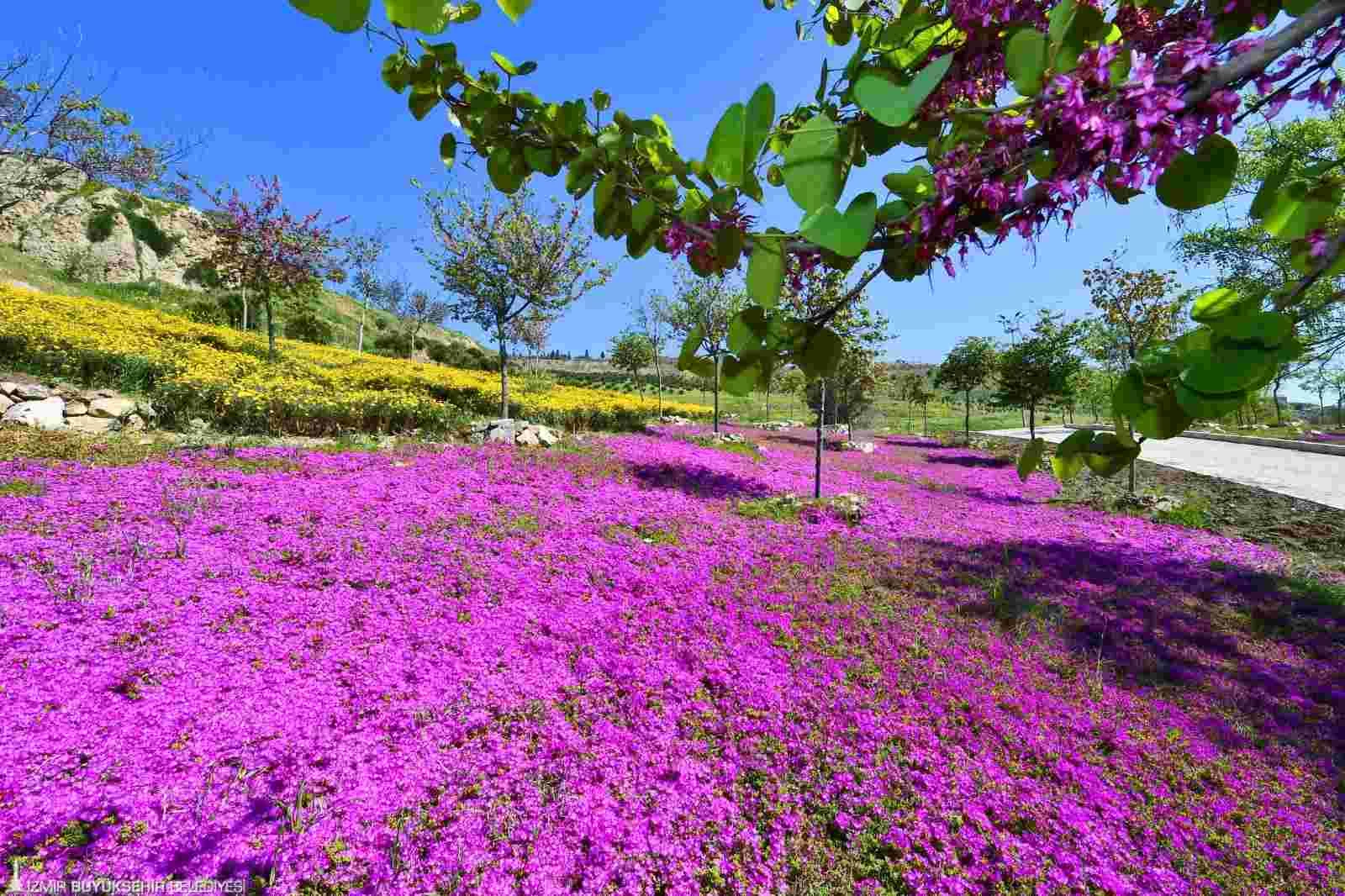 İzmir’in parklarında akıllı sulama dönemi