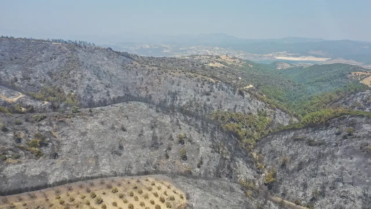 Manisa'da 3 gündür devam eden yangını söndürme çabaları sürüyor