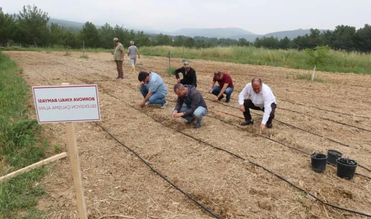 Başkan Eşki, Tarım Alanında Yenilikçi Adımlarla Üretimi Destekleyecek